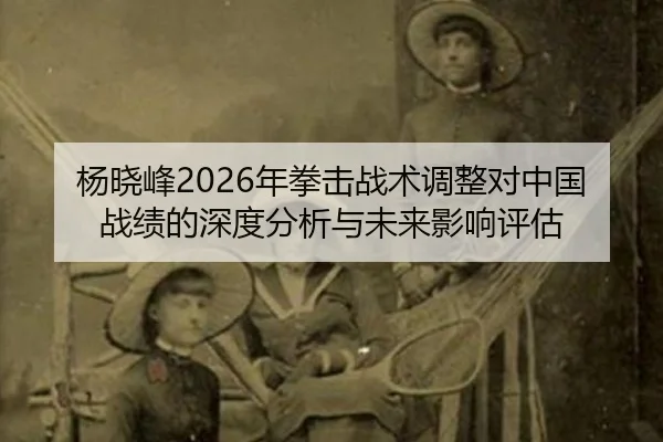 yang-xiao-feng-nian-quan-ji-zhan-shu-tiao-zheng-dui-zhong-guo-zhan-ji-de-shen-du-fen-xi-yu-wei-lai-ying-xiang-ping-gu-2-443.jpg